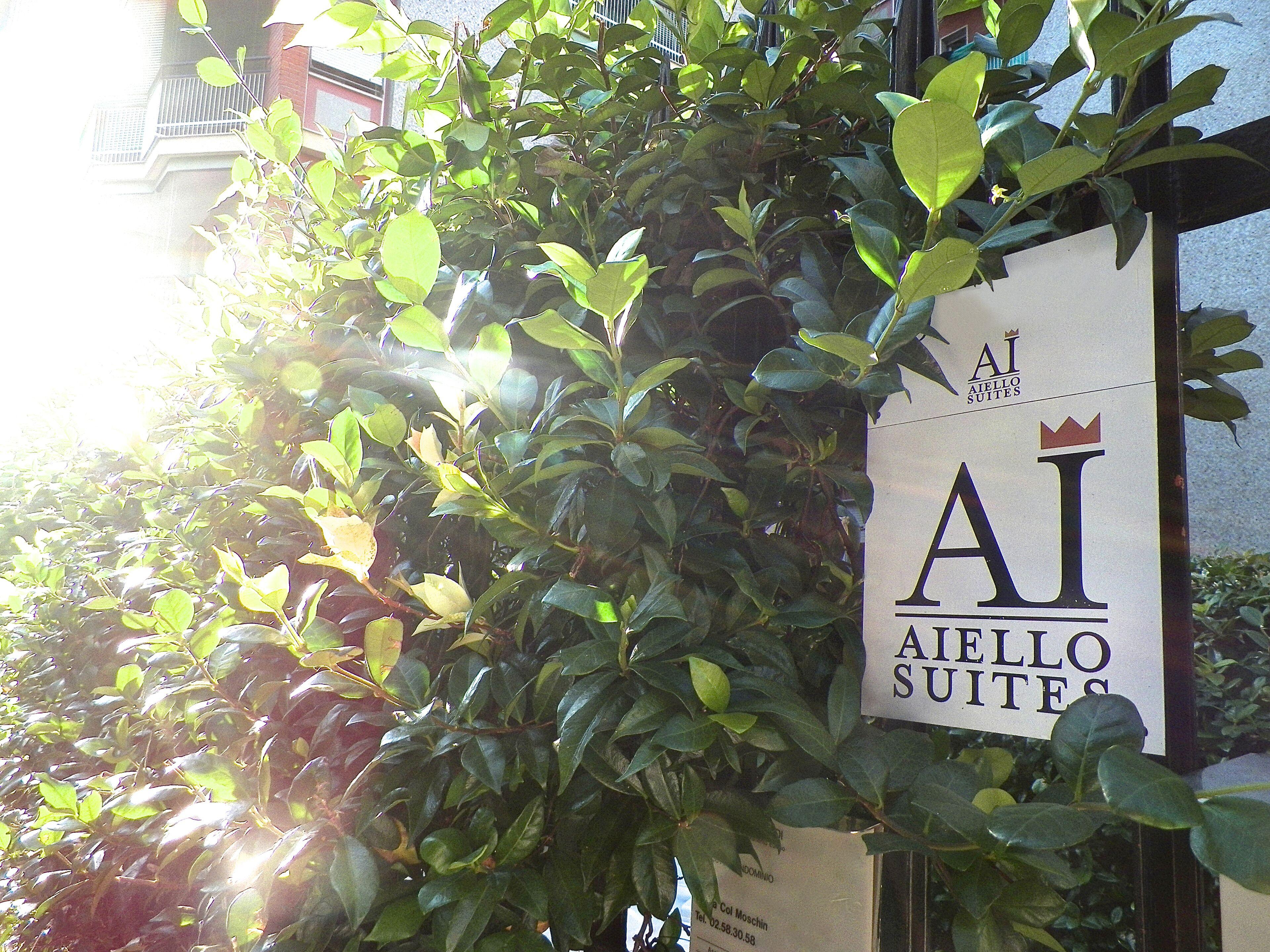 Aiello Suites Executive — Foto 3